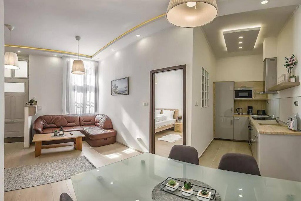 Szechenyi Renovated 2Br At Danube River ブダペスト エクステリア 写真