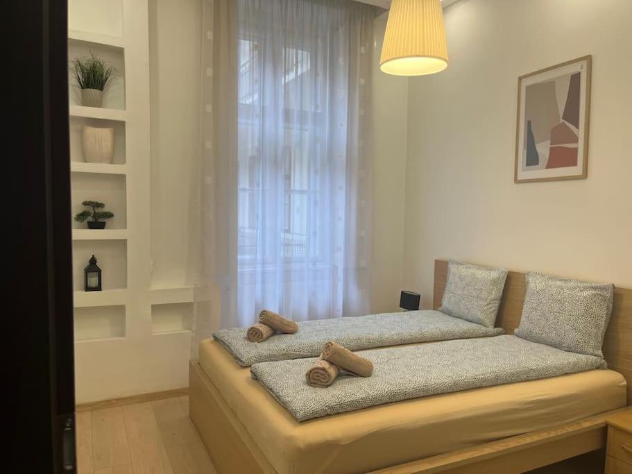 Szechenyi Renovated 2Br At Danube River ブダペスト エクステリア 写真