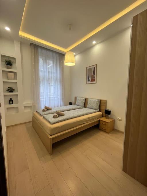 Szechenyi Renovated 2Br At Danube River ブダペスト エクステリア 写真